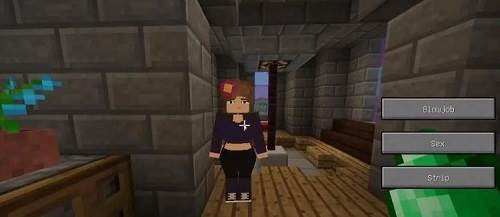 我的世界珍妮冒险图片1