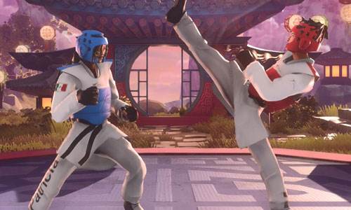 TaekwondoGrandPrix游戏特色