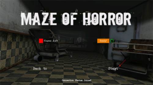 maze of horror联机版7