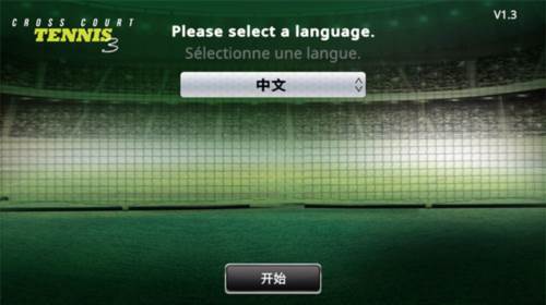 跨界网球3完整版游戏玩法2