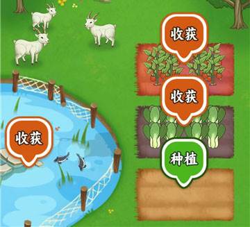 乡间小院红包版游戏亮点