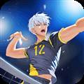 排球高手中文版