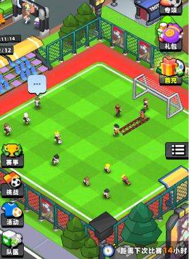 新星足球世界12