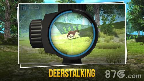 模拟猎人游戏截图3