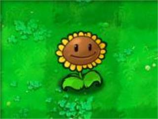 植物大战僵尸经典版游戏截图2