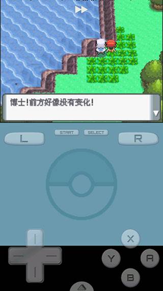 宝可梦珍珠钻石图片13