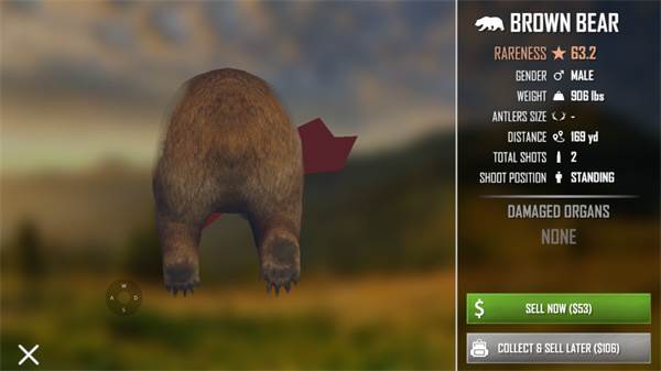 猎鹿人神枪手图片13