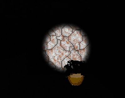 巴迪老师plus手机版游戏技巧