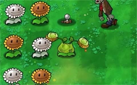 植物大战僵尸内鬼版游戏截图4