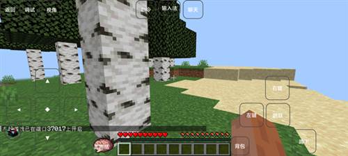 我的世界雾中人版本游戏截图11