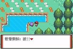 口袋妖怪特别篇赤8