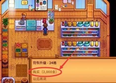 星露谷物语图片3