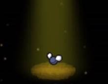 植物大战僵尸以撒无限爱心版图片9