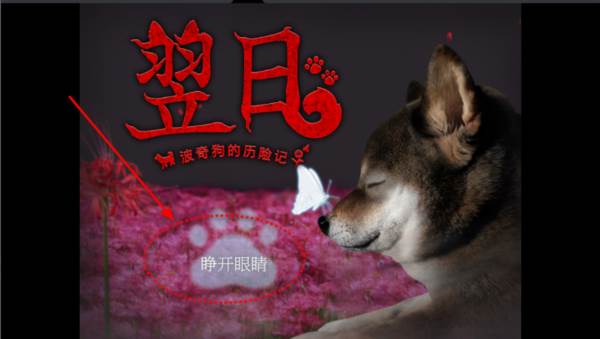 翌日波奇狗的历险记图片3