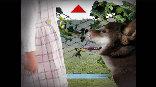 翌日波奇狗的历险记图片6