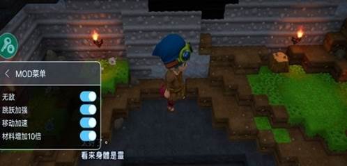 勇者斗恶龙创世小玩家内置菜单版1