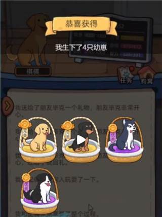 狗生模拟器无广告版游戏截图4