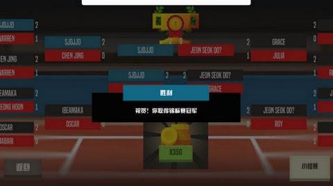 羽毛球高高手单机版12