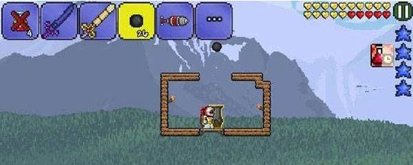 泰拉瑞亚手机版截图2