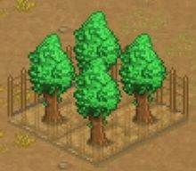 王都创世录游戏截图4