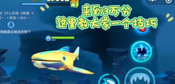 鱼吃鱼无限钻石免广告版14