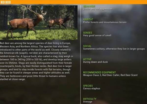 猎人：荒野的召唤截图9