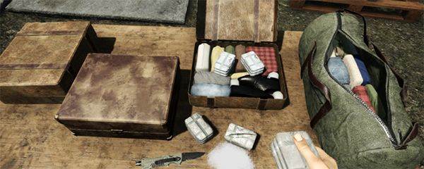 边境丧尸检查官游戏图片11