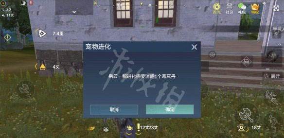 进化流程一览配图4