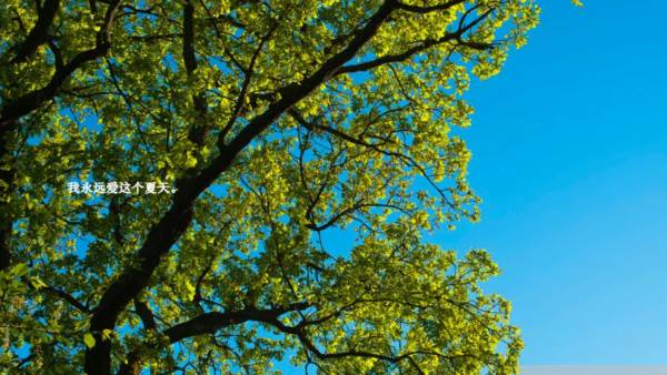 我倒计时中的世界1