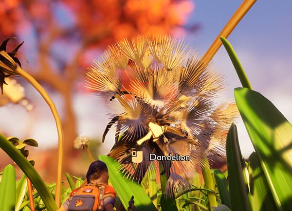 原材料获得方法介绍配图5