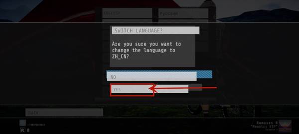 怎么设置中文配图4