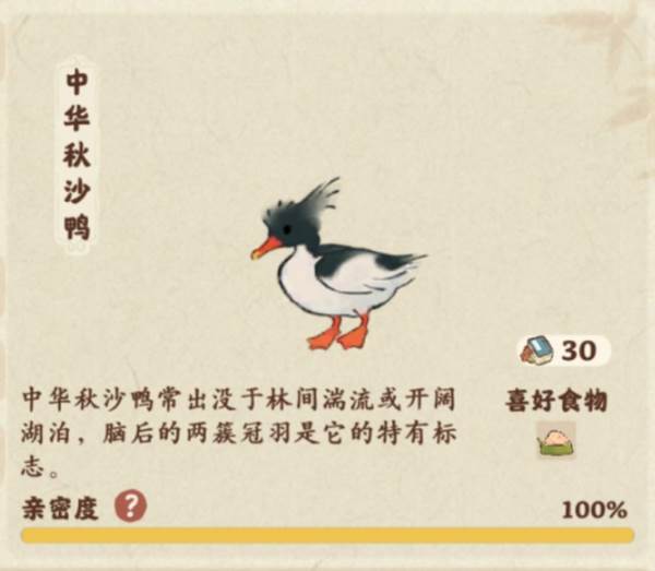 仙女湖鸟类介绍配图3