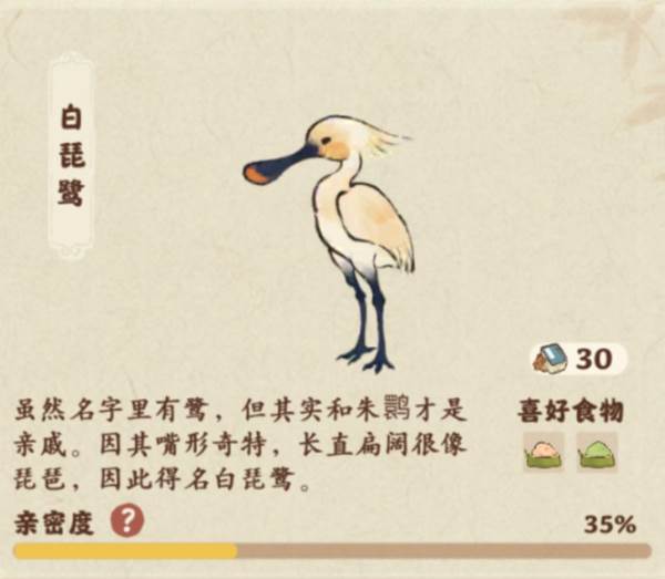 仙女湖鸟类介绍配图7