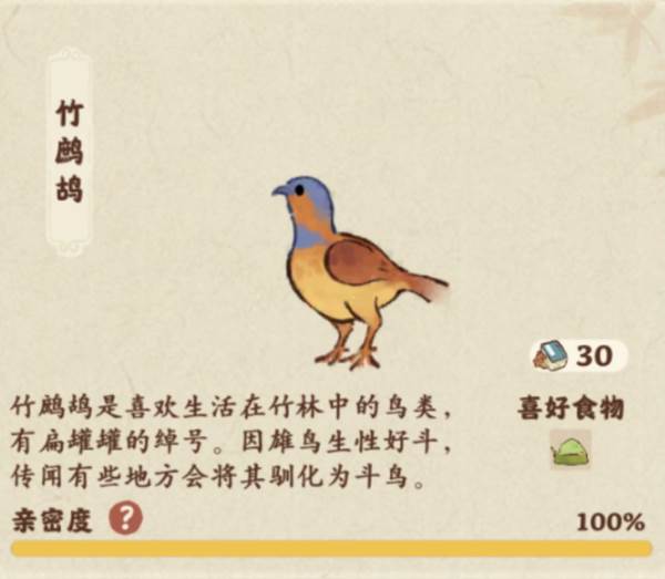 仙女湖鸟类介绍配图13