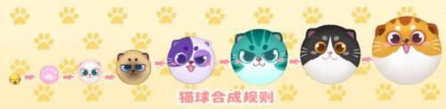 猫屋玩法介绍配图2