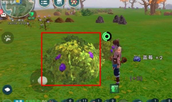 蜜桃果酱怎么做配图2