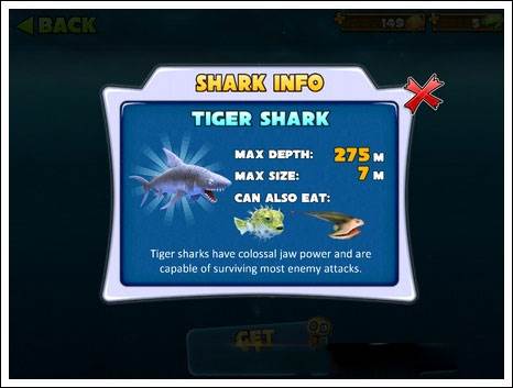 鲨鱼介绍配图4