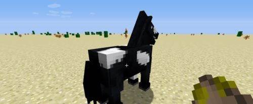 怎么驯服马配图3