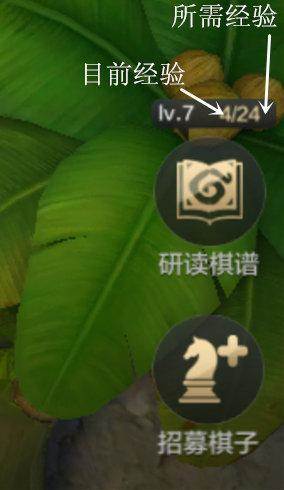 巨鸟多多自走棋界面介绍11