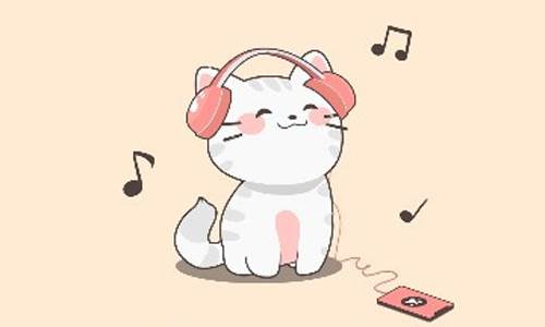 猫猫学园游戏亮点