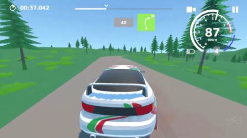 N3拉力赛最新版图片2