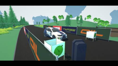 N3拉力赛最新版图片6