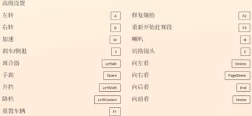 拉力赛艺术中文版图片7