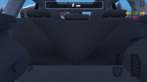 国产车模拟器图片1