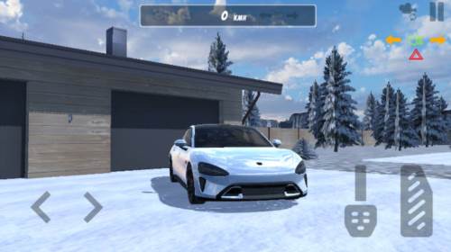 国产车模拟器图片5