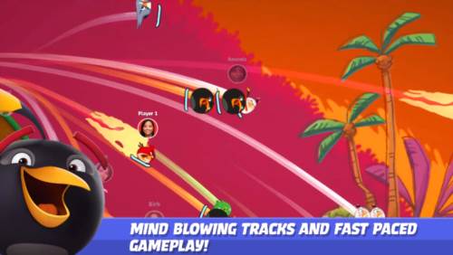 愤怒的小鸟赛车美国版图片1