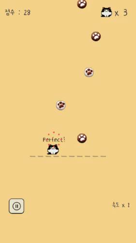 吃掉猫猫饼图片