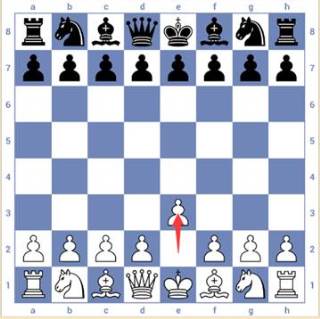 国际象棋3D最新版5