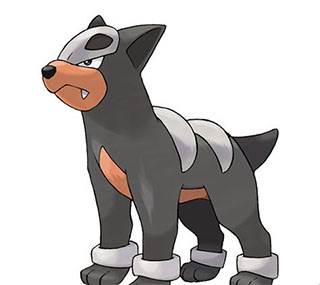 口袋觉醒无限钻石版游戏攻略12